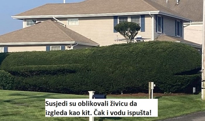 13 fotki koje dokazuju da stvari ponekad nisu onakve kakvima se čine