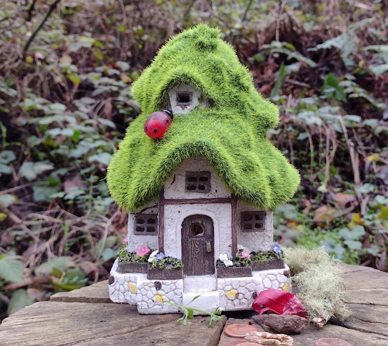 Neobična kućica pronađena duboko u šumi!