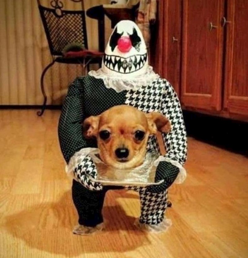 10. Dosta uznemirujuć kostim za maškare