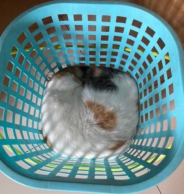8.