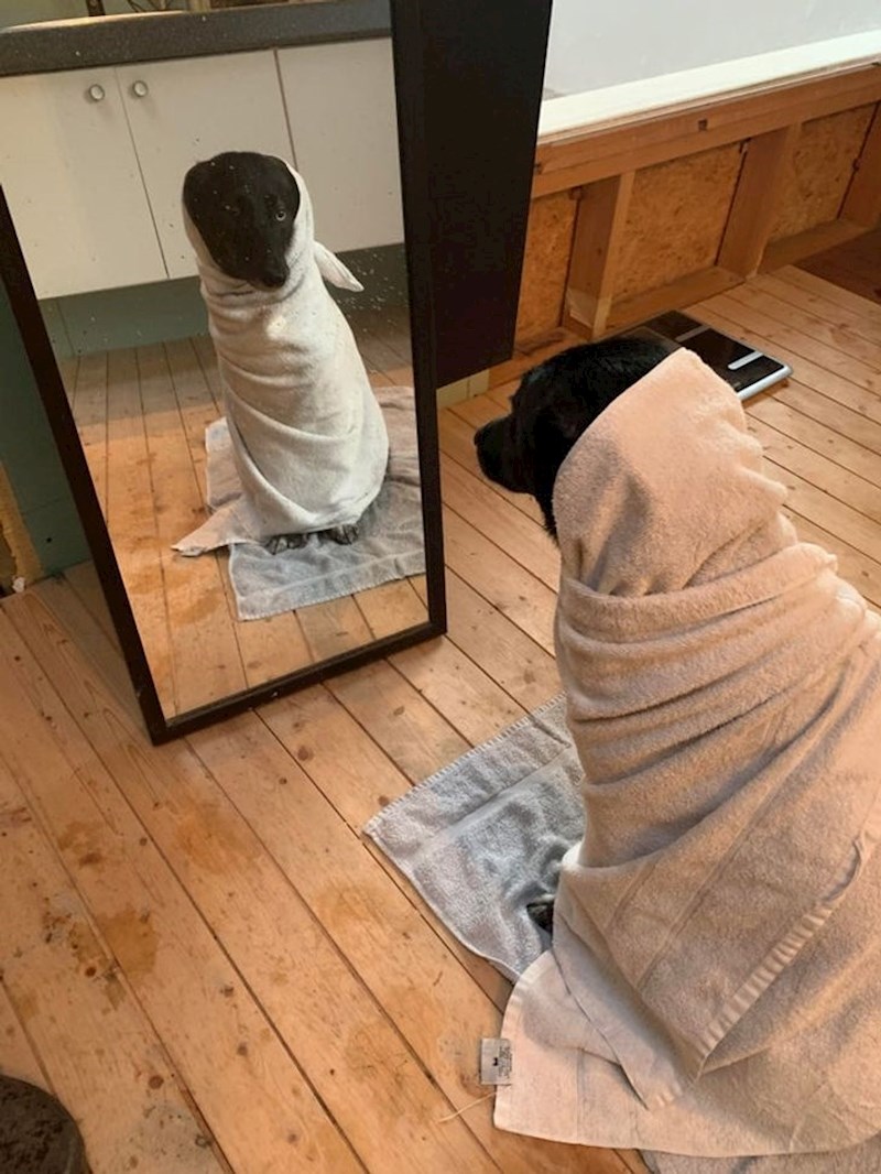 "Nakon kupanja, dugo sjedi ovako ljuta i pogledom nam poručuje koliko nam zamjera što smo joj učinili"