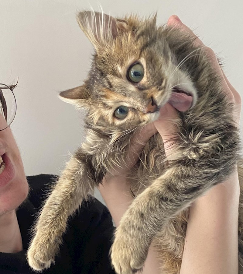 Ovo je njezin palac!!!