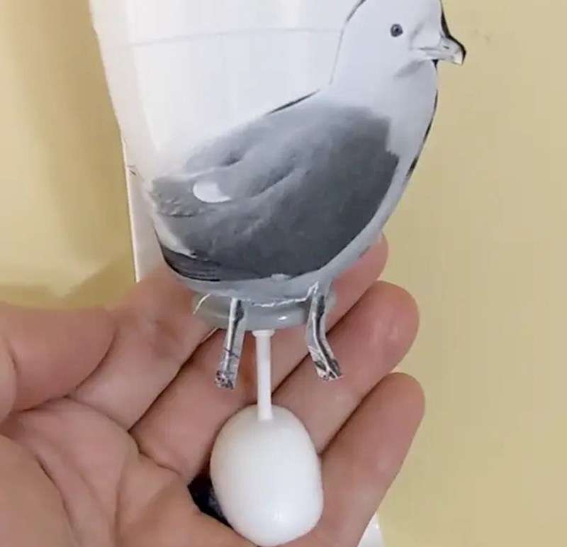 Netko je zalijepio galeba na spremnik sapuna