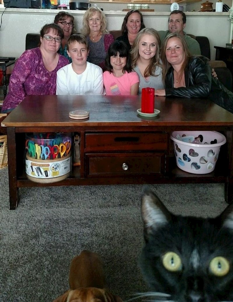 "I mi želimo biti na slici"