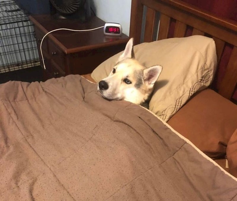 "Radim noćnu, a muž mi šalje da je kod kuće sve u redu"