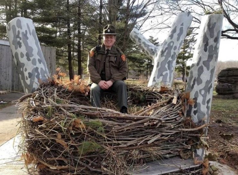 8. Gnijezdo američkog bjeloglavog orla