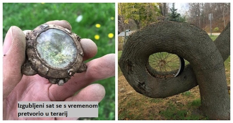 Izgubljeni predmeti i napuštena mjesta koja je dotakao zub vremena i učinio ih još šarmantnijima