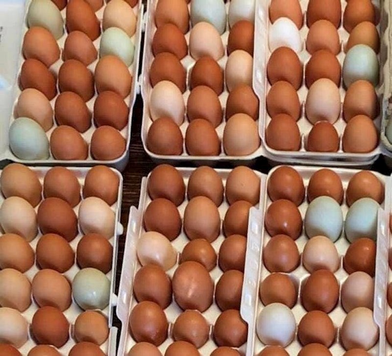 Ne, jaja nisu napuknuta ni zgnječena, to je sjena!