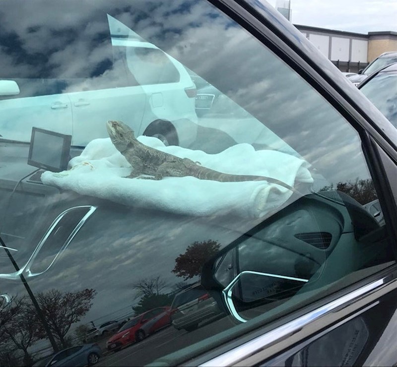 Prizor na parkingu trgovačkog centra