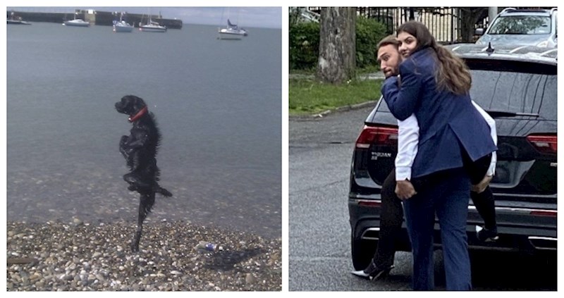 12 fotki za koje će vam trebati posebne upute da biste ih razumjeli