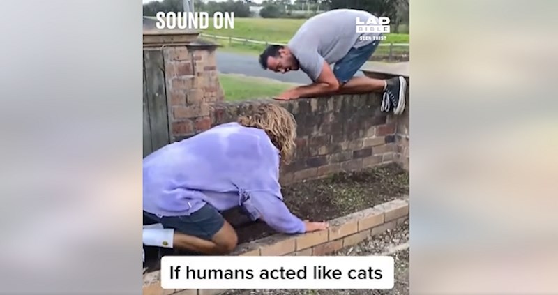 Kako bi izgledalo kad bi se ljudi ponašali kao životinje- ove urnebesne snimke obišle su svijet