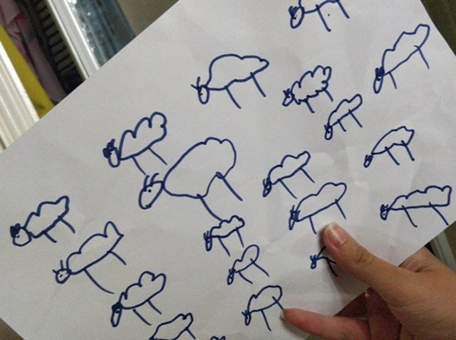 "Nećak mi je nacrtao ovce da ih ne moram zamišljati, nego da ih samo prebrojim i zaspim"