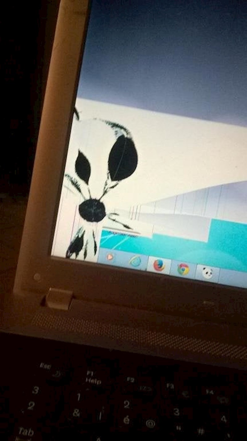 Roditelji su zvali sina da misle da im je virus ušao u kompjuter jer se pojavio neki cvijet na monitoru