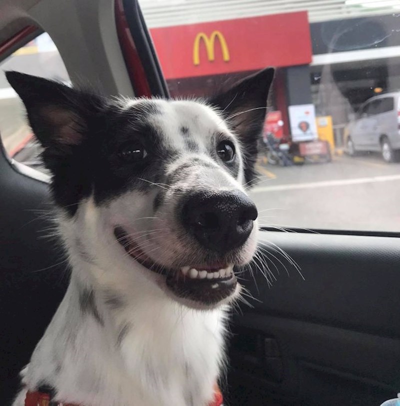 Prvu vožnju autom nagradili smo odlaskom na jedno posebno mjesto