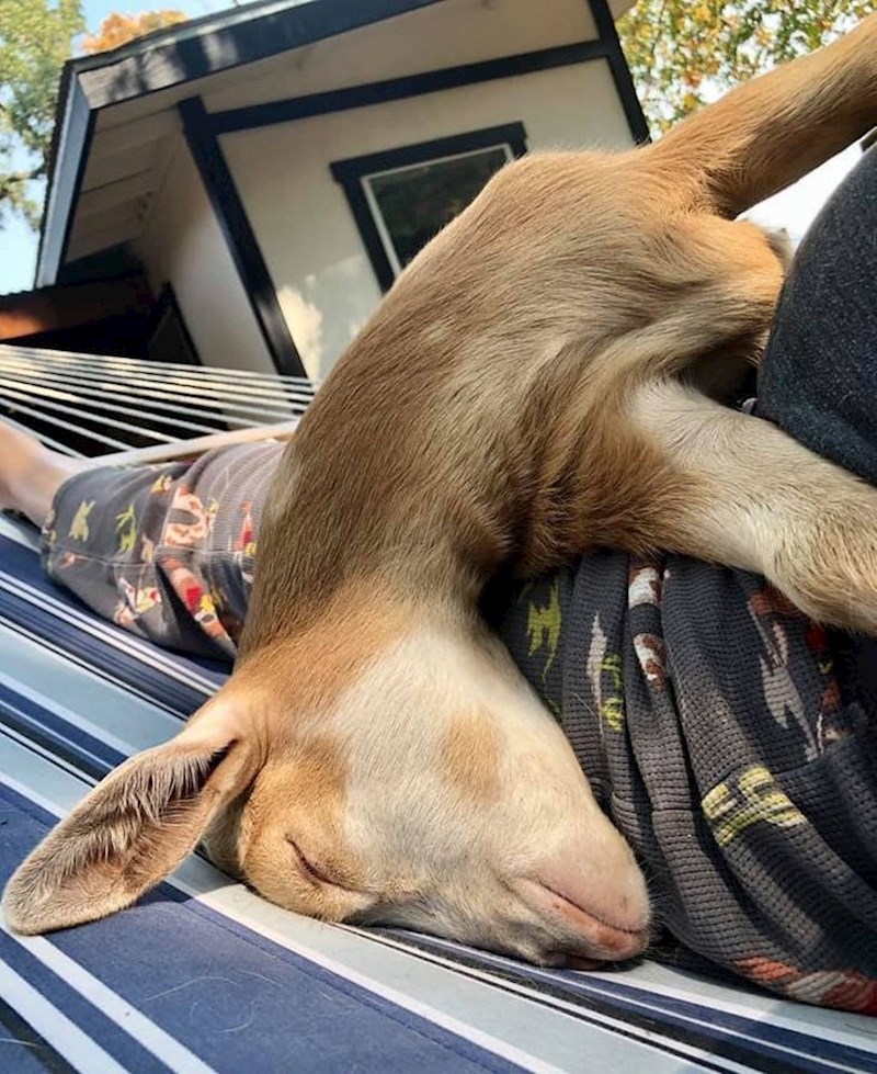 San ne bira ni mjesto ni vrijeme