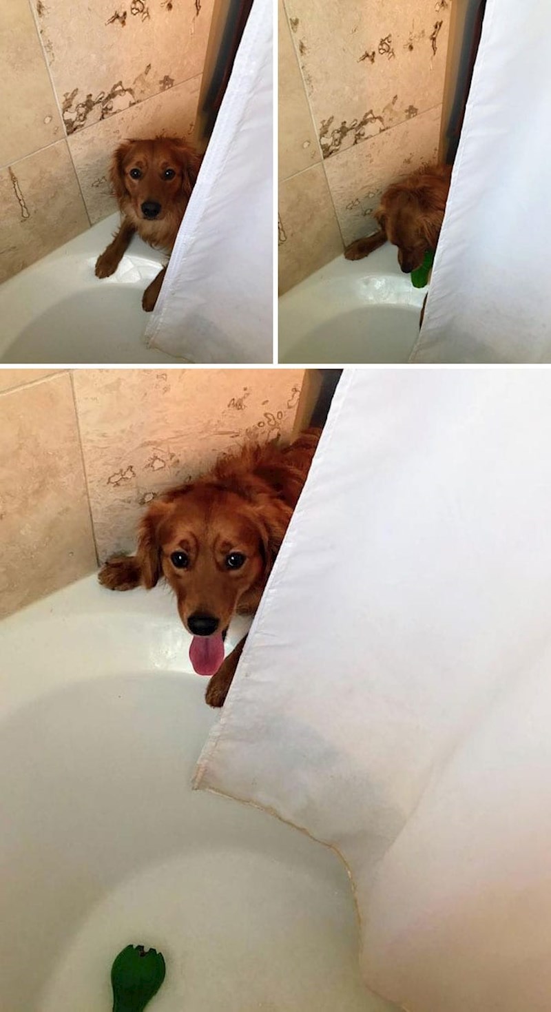 "Moja kujica se boji tuširanja i svaki put kad vidi da se ja idem tuširati, donosi mi svoju igračku kako bih se osjećala bolje"