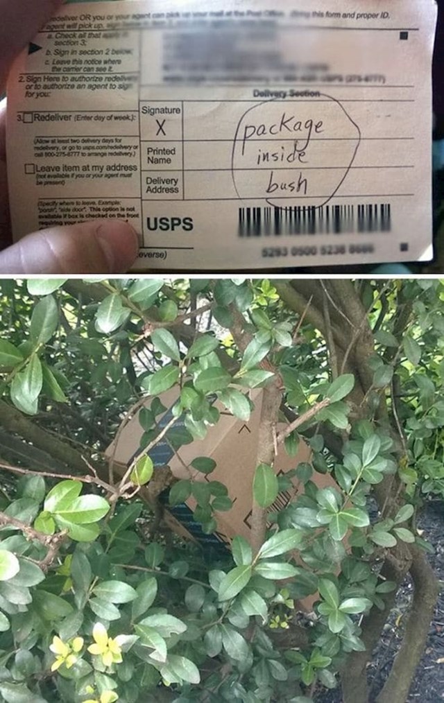 "Skrio je paket u grm i to napisao. Sreća da sam vidjela napomenu prije nego se muž vratio s posla"