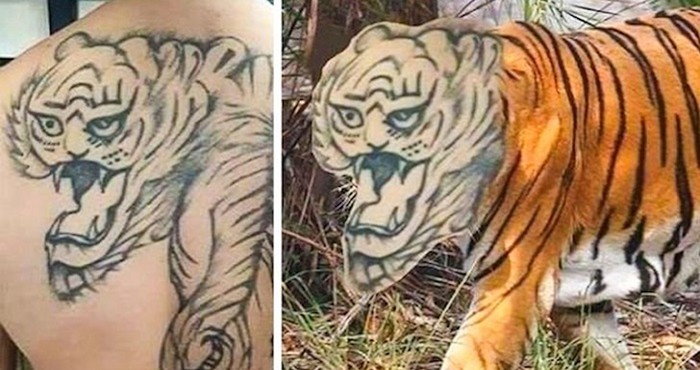 18 ljudi kojima bi trebalo zakonom zabranit korištenje Photoshopa