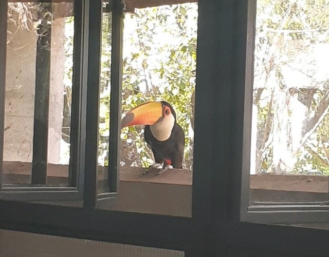 Malo je odlučio razveseliti studente usred predavanja