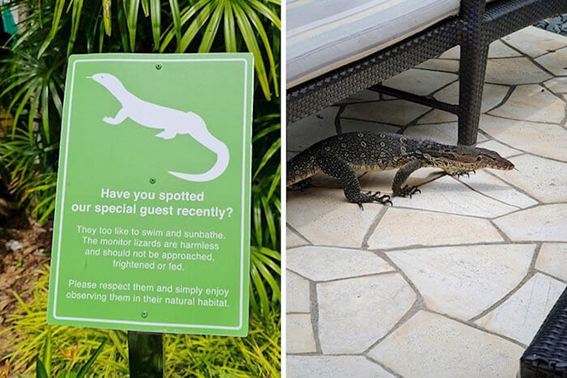 Ovaj hotel ima jednog specijalnog gosta