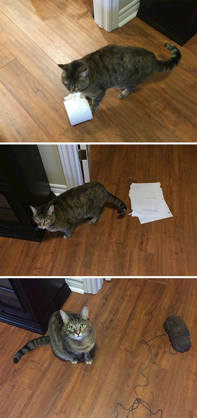 12. Uvijek donosi toaletni papir