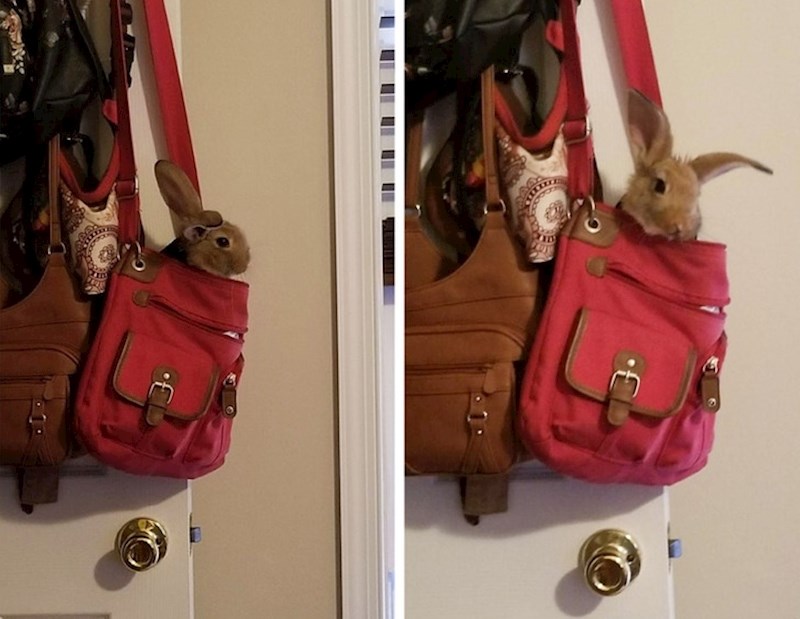 "Odlučio je da ide sa mnom van pošto poto"