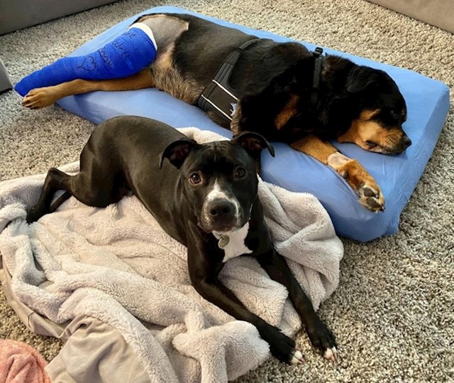 "Sestra Betty brine o psima nakon operacija"
