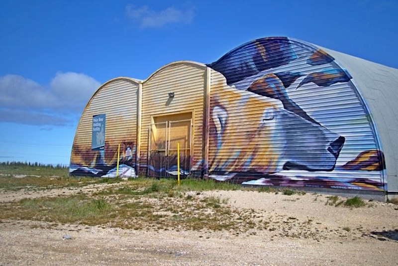 Ima zatvor za polarne medvjede s 28 ćelija