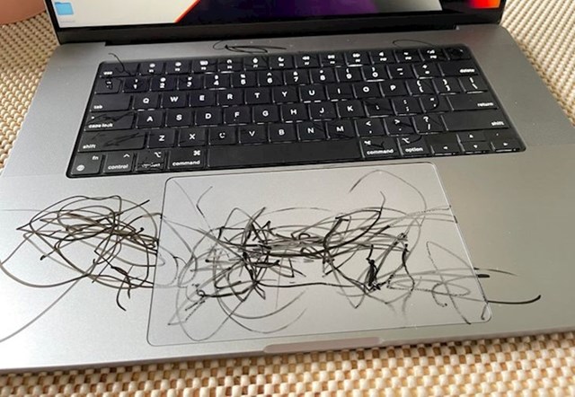 "Starija je mlađoj dala dopuštenje za ovo remek djelo na firminom laptopu"