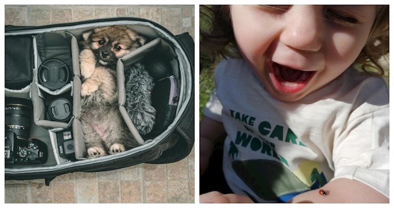 14 fotki zbog kojih ćete osjetiti nalet hormona sreće u tijelu