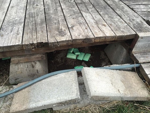 Kada ugine životinja ispod trijema, pa stanodavac ide prekriti smrad...