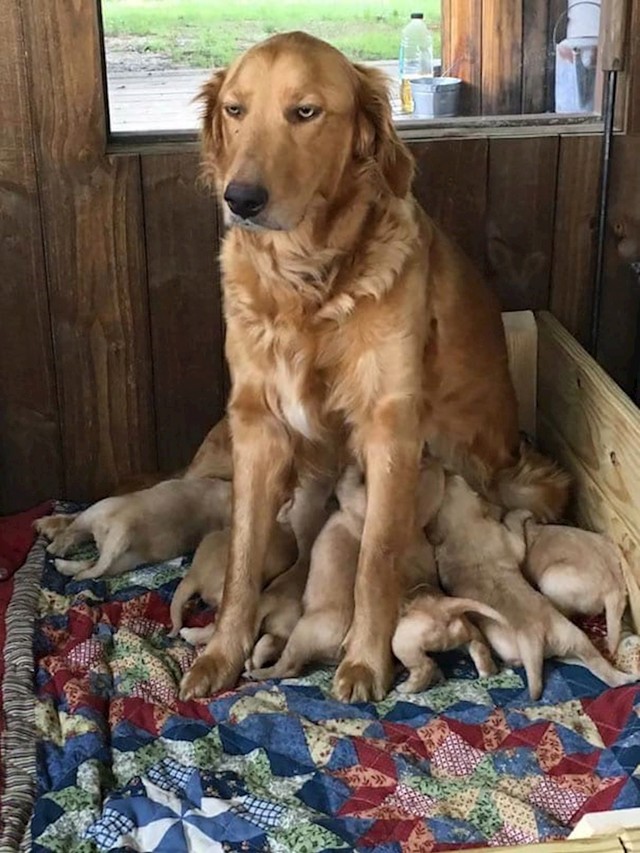 7. Prvi put mama