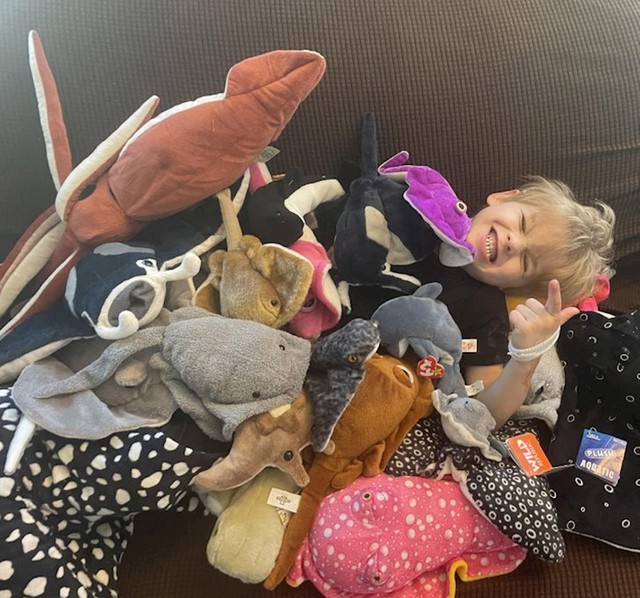 "Nisam mogla priuštiti sinu poklon za rođendan i komentirala sam to na jednoj objavi na Redditu. Dobri ljudi koji su vidjeli to, poslali su hrpu plišanaca i uljepšali dan mom sinu i meni!"