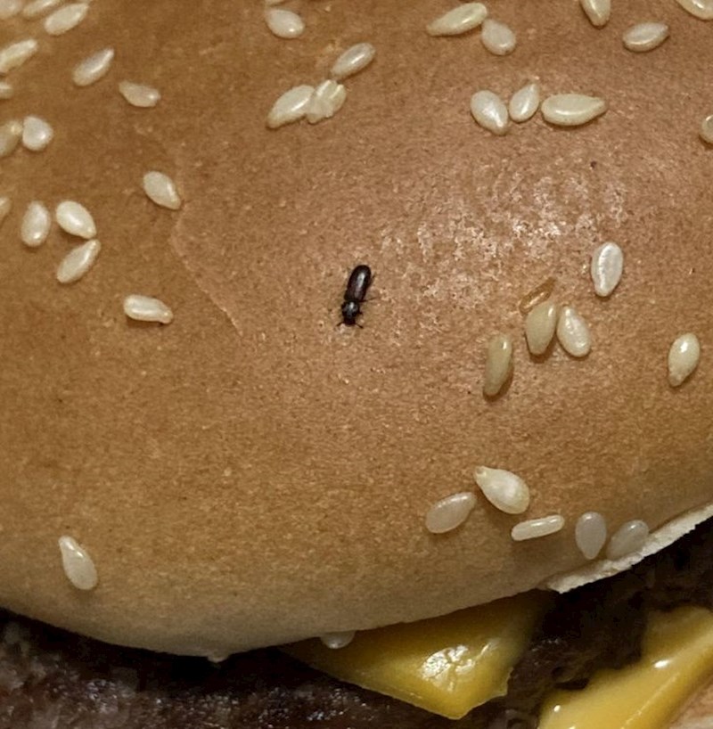 Buba se ispekla zajedno s pecivom