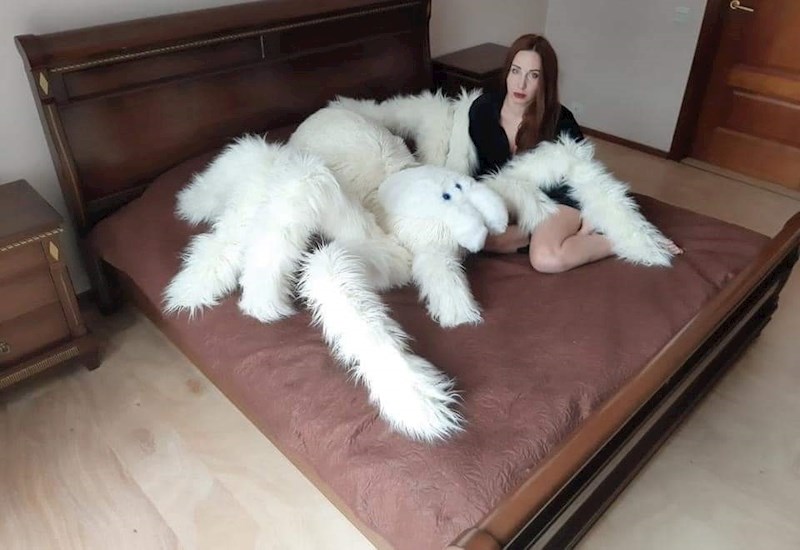 5. Ogromni plišani pauk