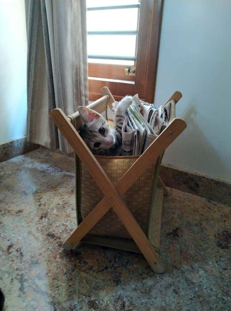 Ova će biti neka pametnica!