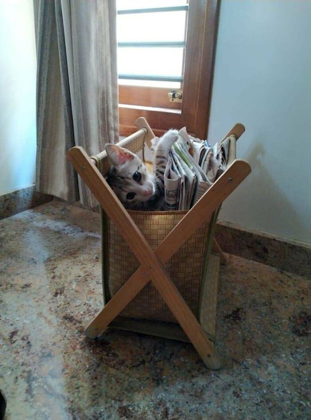 Ova će biti neka pametnica!