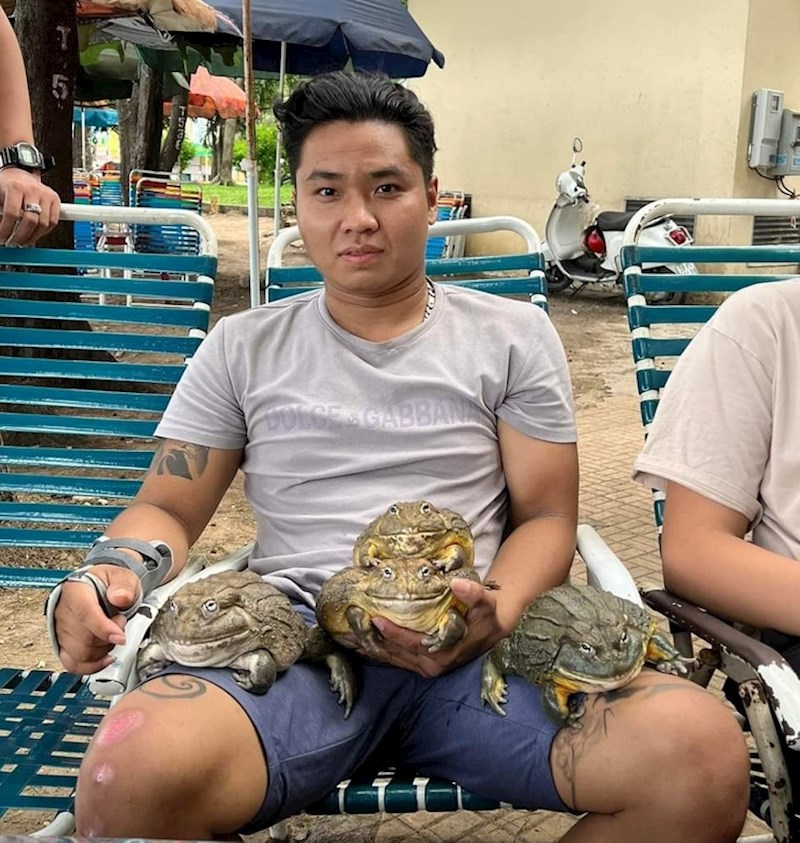 Moj frend i njegovi kućni ljubimci