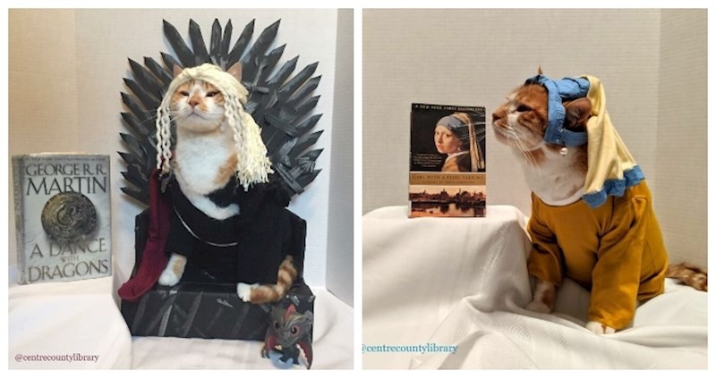 Neobični zaposlenik knjižnice na genijalan način privlači nove čitatelje; upoznajte mačka Horatia!