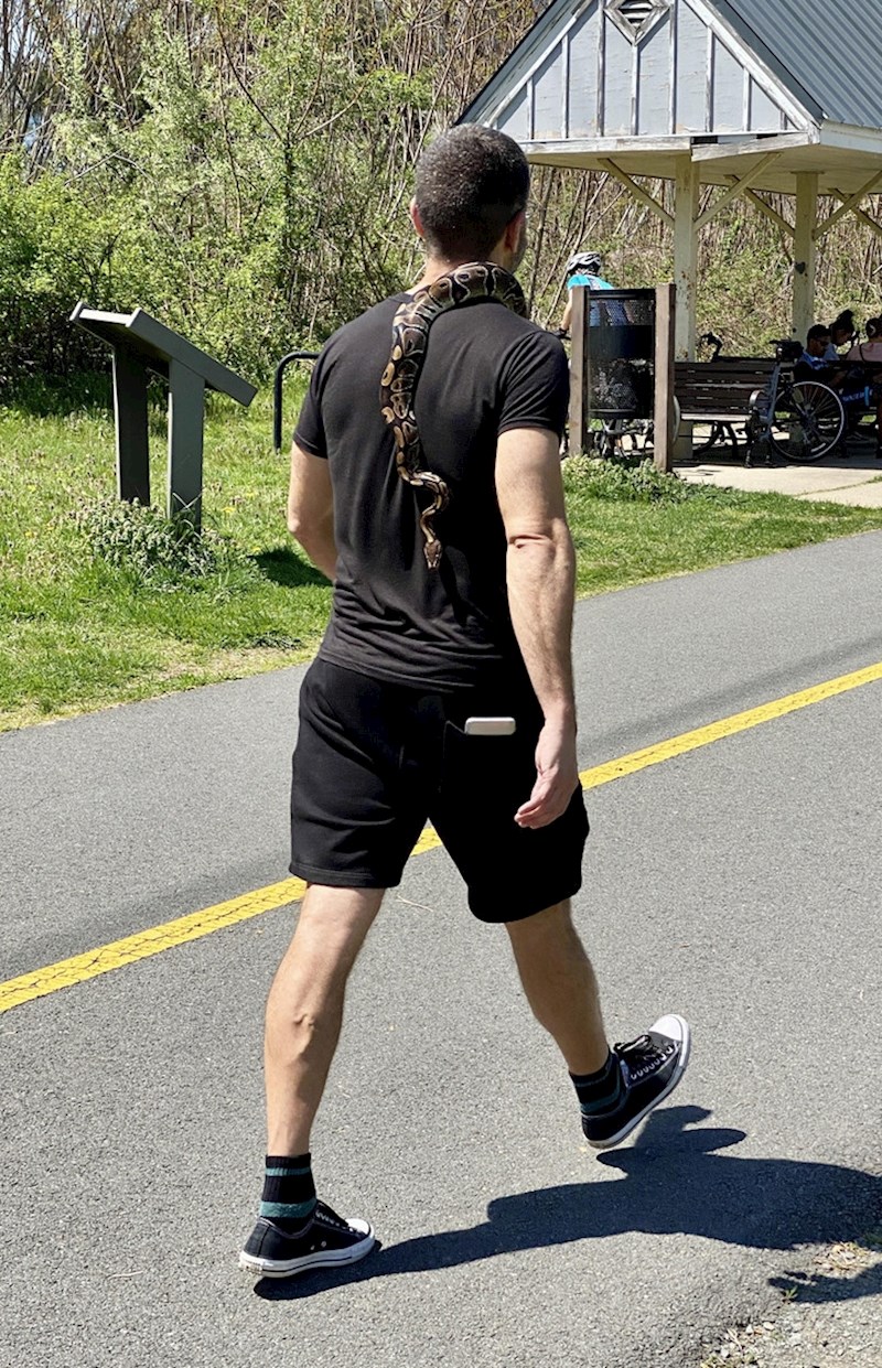 I on šeta svog kućnog ljubimca dva puta dnevno!