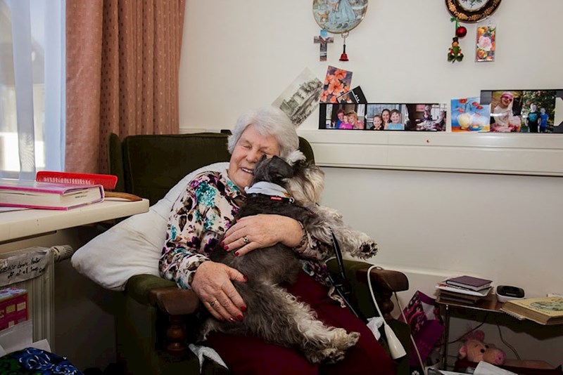 Terapijski pas za ljude s problemima poput anksioznosti