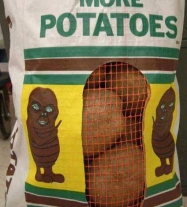 Slika krumpira izgleda obećavajuće