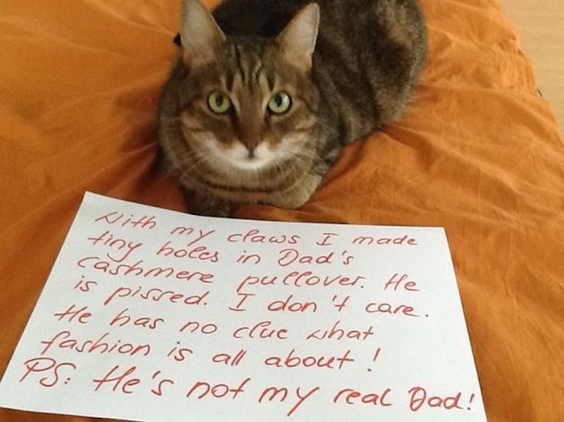 Napravila sam rupe u tatinom puloveru od kašmira..