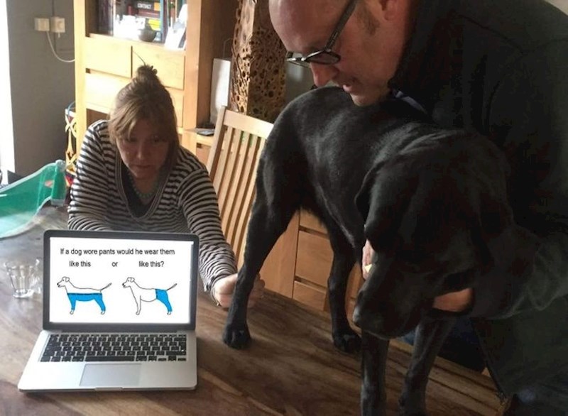 "Obiteljska rasprava o tome kako bi pas nosio hlače je otišla predaleko"