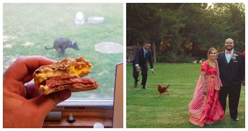 17 puta kada su detalji iz pozadine ukrali cijelu pozornost na fotkama i postali viralni hitovi