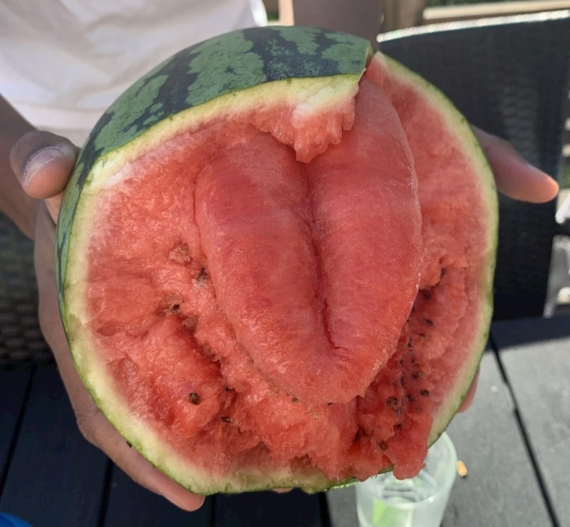 Lubenica je jasno dala svoje mišljenje