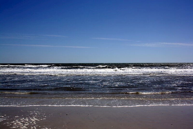 "Poznanica mi je rekla se ne želi kupati u oceanu da je ne bi zatrudnjela jer oceani su puni sperme kitova!"