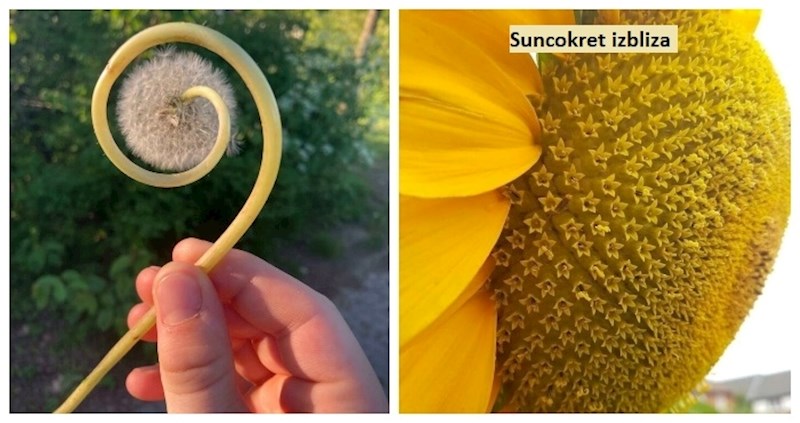 20+ puta kada je priroda pokazala kako izgleda pravo savršenstvo, fotke djeluju nestvarno!