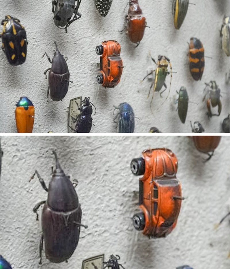 Netko je u muzeju zamijenio jednog od insekata s autićem