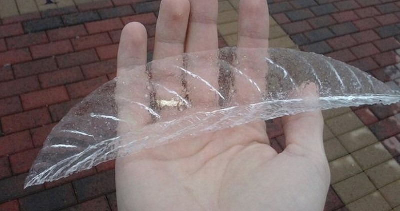 11 neobičnih prizora za koje je vjerojatnost bila manja od šanse za dobitak na lutriji